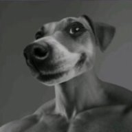 doogile