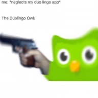 NicoVlog